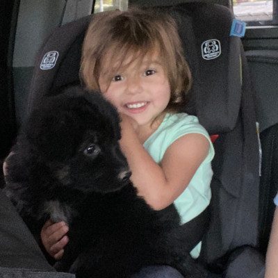 Central Valley German Shepherds, photo 37