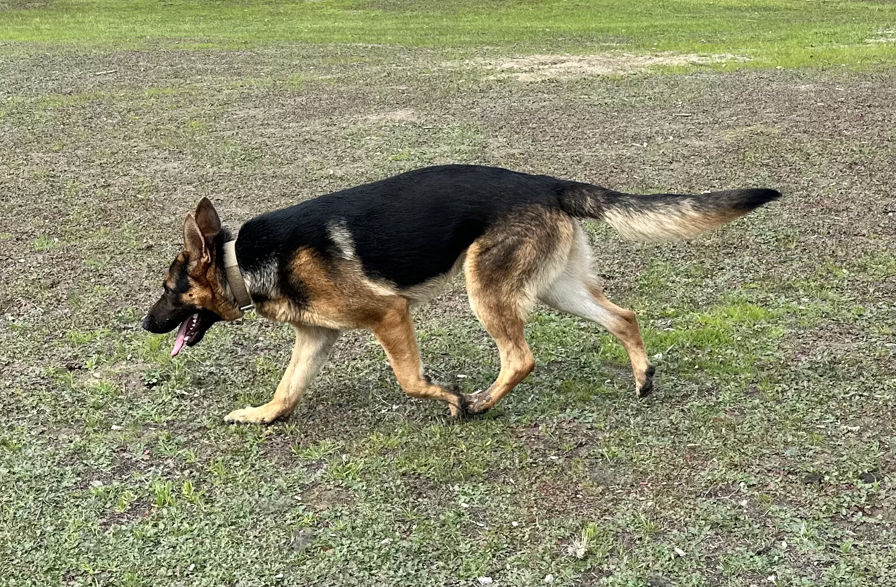 Our Sire EB