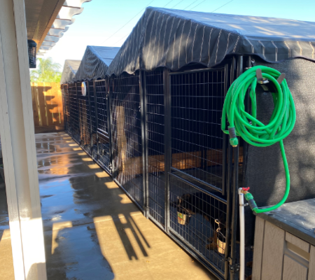 Our kennels in Merced, CA