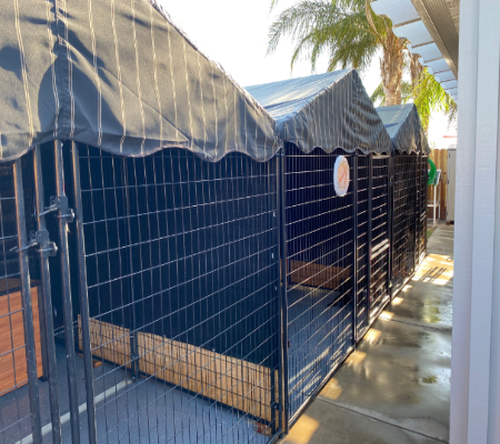 More of the kennels in Merced, CA